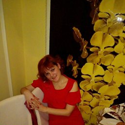 ��������, ������, 41 ���