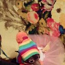 ���� �������, ������, 54 ���� - ��������� 19 ������ 2017 � ������ ���� ����������