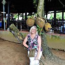 ������� ������. �� ������� ��������. ������ 2017 �.�