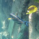 ���� �����, ����� - ��������� 24 ������ 2017