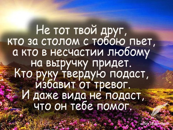 Неважно — скольку у тебя друзей. Важно — сколько из них помогут тебе в трудную минуту и сколько ... - 2