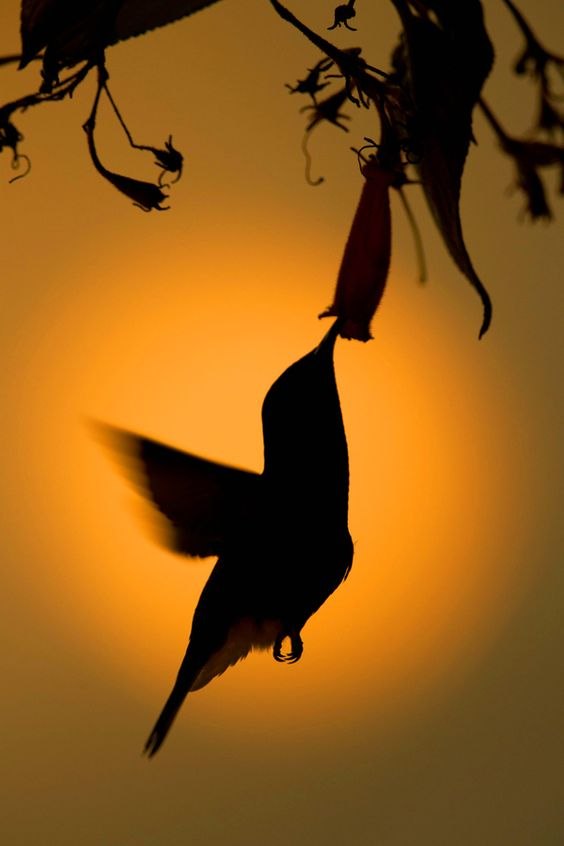  ! - 15  2017  19:56 - 2