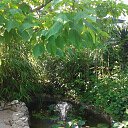 ����������� 2017 �� ������� �����