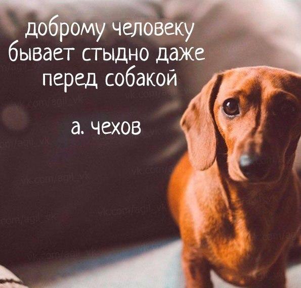������ ����� - 9 ��� 2017 � 11:20