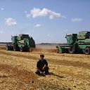 ���� �������, ����, 42 ���� - ��������� 24 ������� 2017 � ������ ������ ��������