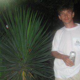 �����, ������������, 49 ���