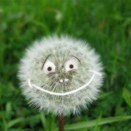 �������, �����-���������, 52 ����