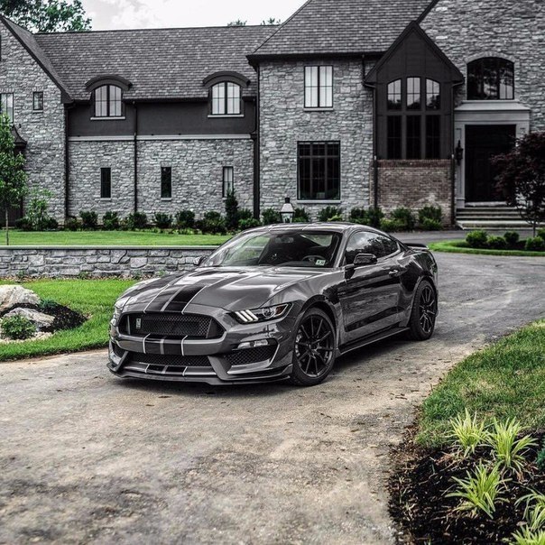 Shelby GT350