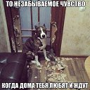 ���� �����, ������ - ��������� 23 ������� 2017 � ������ ������ ��������