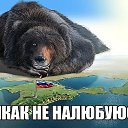 ���� ���������, ������, 65 ��� - ��������� 5 ��� 2017 � ������ ������ ��������