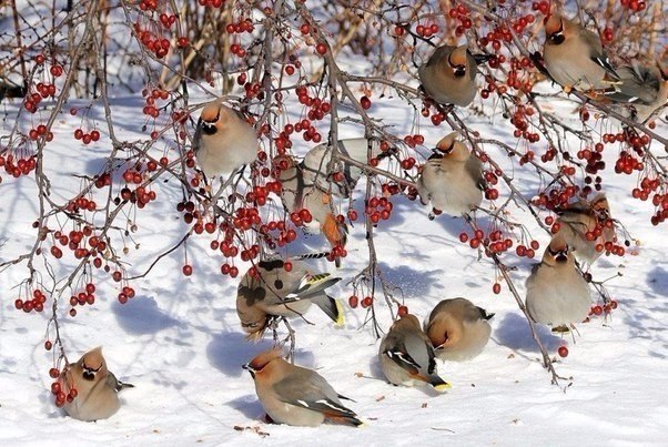 � ���� ��o� ���c��...