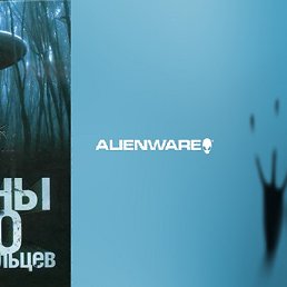 �����, ������, 53 ����