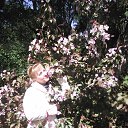 ���� �������, ������������, 51 ��� - ��������� 3 ���� 2017 � ������ ����� 2017�