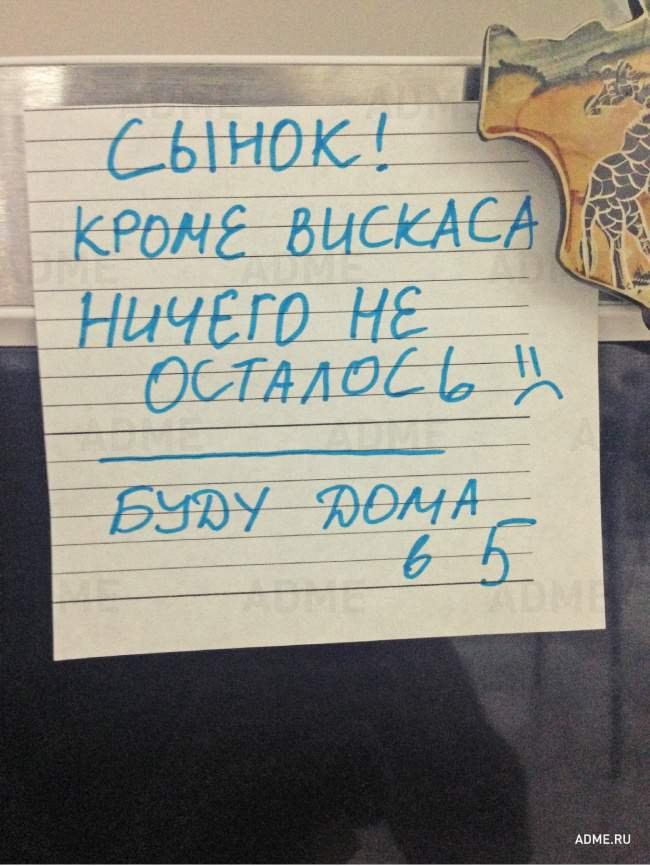  ,      - 5