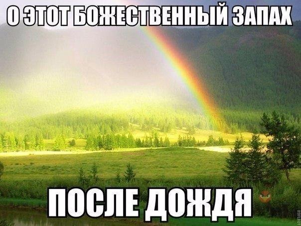   - 19  2017  12:54