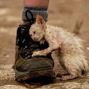 ���� �������, �����-���������, 55 ��� - ��������� 16 ���� 2017 � ������ ���������Ȼ