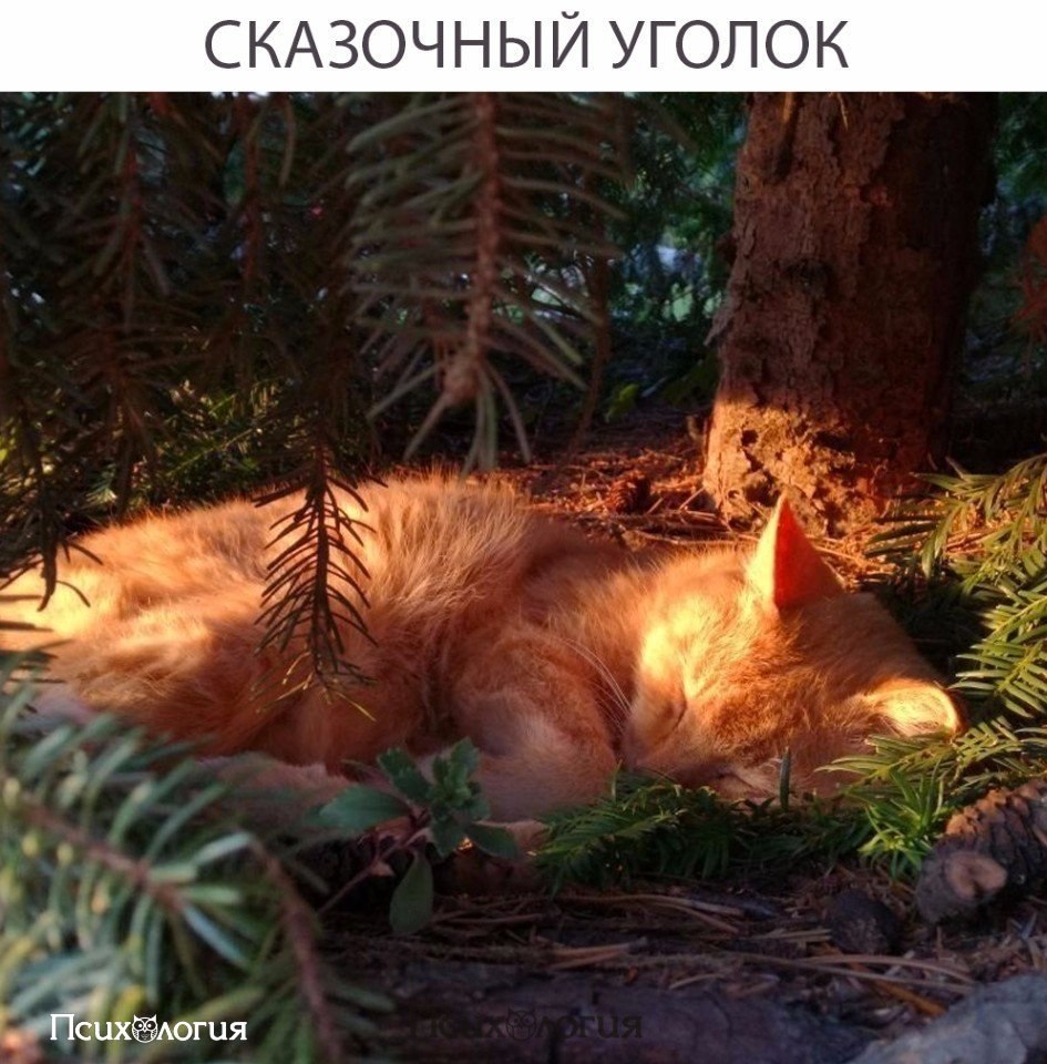 ���������� - 10 �������� 2017 � 08:18