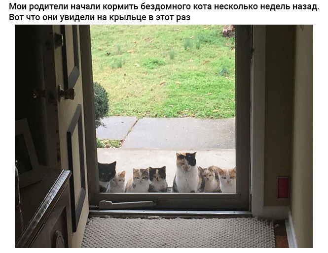 8 ,  ,  : 