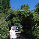 ���� ���������, ������, 82 ���� - ��������� 11 ������� 2017 � ������ ���� ����������