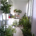 ���� Alexandr, ������� - ��������� 26 ������� 2017 � ������ ���� ����������