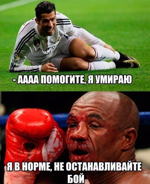    :D - 5  2017  04:33
