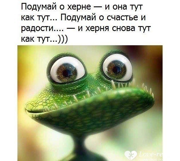 :   . -  ? - . -   . ... #9