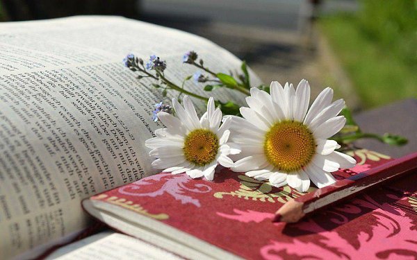 Р. Твоя жизнь - это книга. Ты понимаешь, о чем она, но в общих чертах. И ты не знаешь, что случится ...