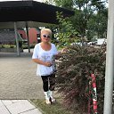 ���� �����, ���������� - ��������� 10 ������� 2017 � ������ ���� ����������
