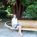  ,  -  6  2017    ,  2017