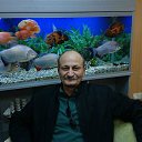 ���� Arif, ����, 69 ��� - ��������� 26 ������ 2017 � ������ ���� ����������