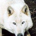 ���� ��������, ����������� - ��������� 14 ���� 2017 � ������ ���� ����������