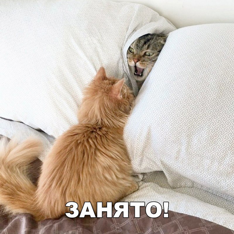    .     ))) - 27
