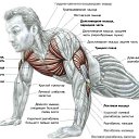 ���� �������, ������ - ��������� 27 ������ 2017 � ������ ���� ����������