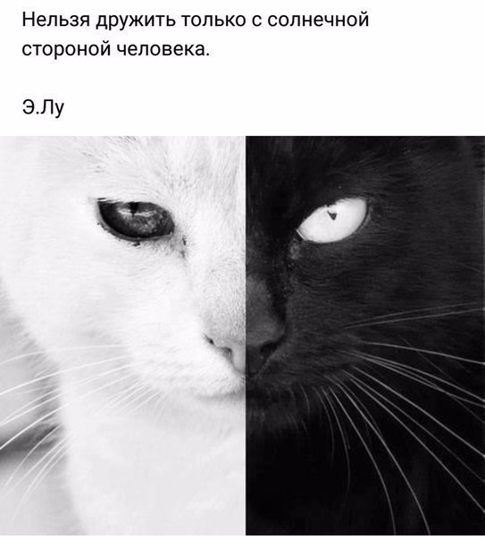   - 5  2017  18:53