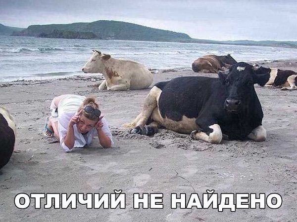 About different ! - 11  2017  21:32