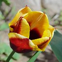 14.05.2017 �� ������� ���� ����������� (!) ��������)�