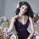 ���� �������, ������ - ��������� 7 ������� 2017 � ������ ��������