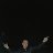 ���� �������, �����-���������, 41 ��� - ��������� 19 ���� 2017