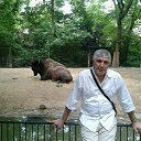  Vahid, , 59  -  18  2017    