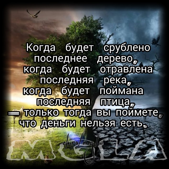  - 16  2017  12:53