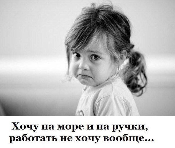    - 12  2017  15:05