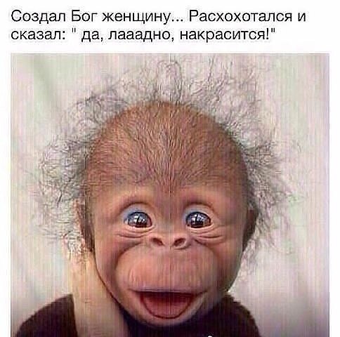 ,    ,    : ,   ...  ,    ...