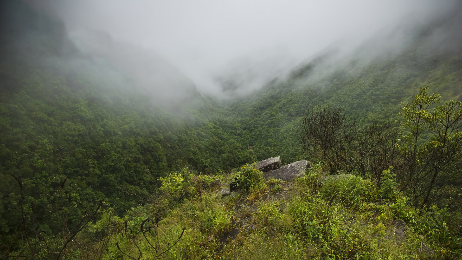 Sergio - 25  2017  11:00 - 5