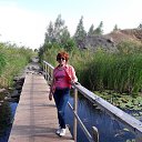 ���� ������, ���, 61 ��� - ��������� 18 ������� 2017 � ������ ���� ����������