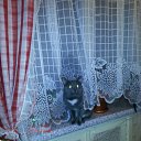 ���� ���������, ������ - ��������� 11 ��� 2017 � ������ ���� ����������