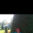 ���� ��������, ������, 53 ���� - ��������� 30 �������� 2017 � ������ ���� ����������