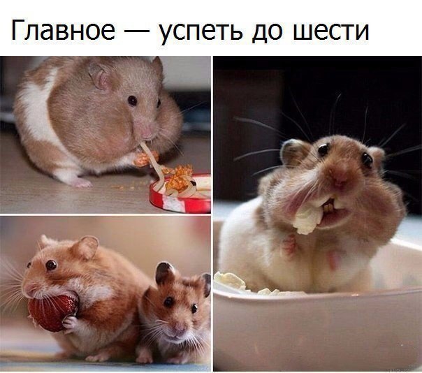    .  -      .