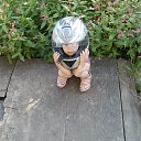 ���� ������, ������������, 55 ��� - ��������� 1 ������ 2017 � ������ ����� 2013�