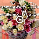 ���� ��������, �����������-��-�����, 48 ��� - ��������� 24 �������� 2017 � ������ ���� ����������