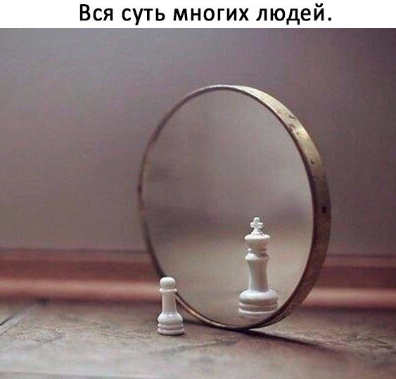    - 15  2017  18:46
